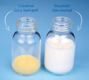 when does colostrum start leaking|Does Leaking Colostrum Mean Labor is Close ...